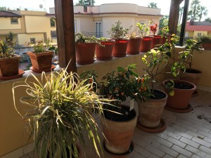 File Jan 23, 15 10 29