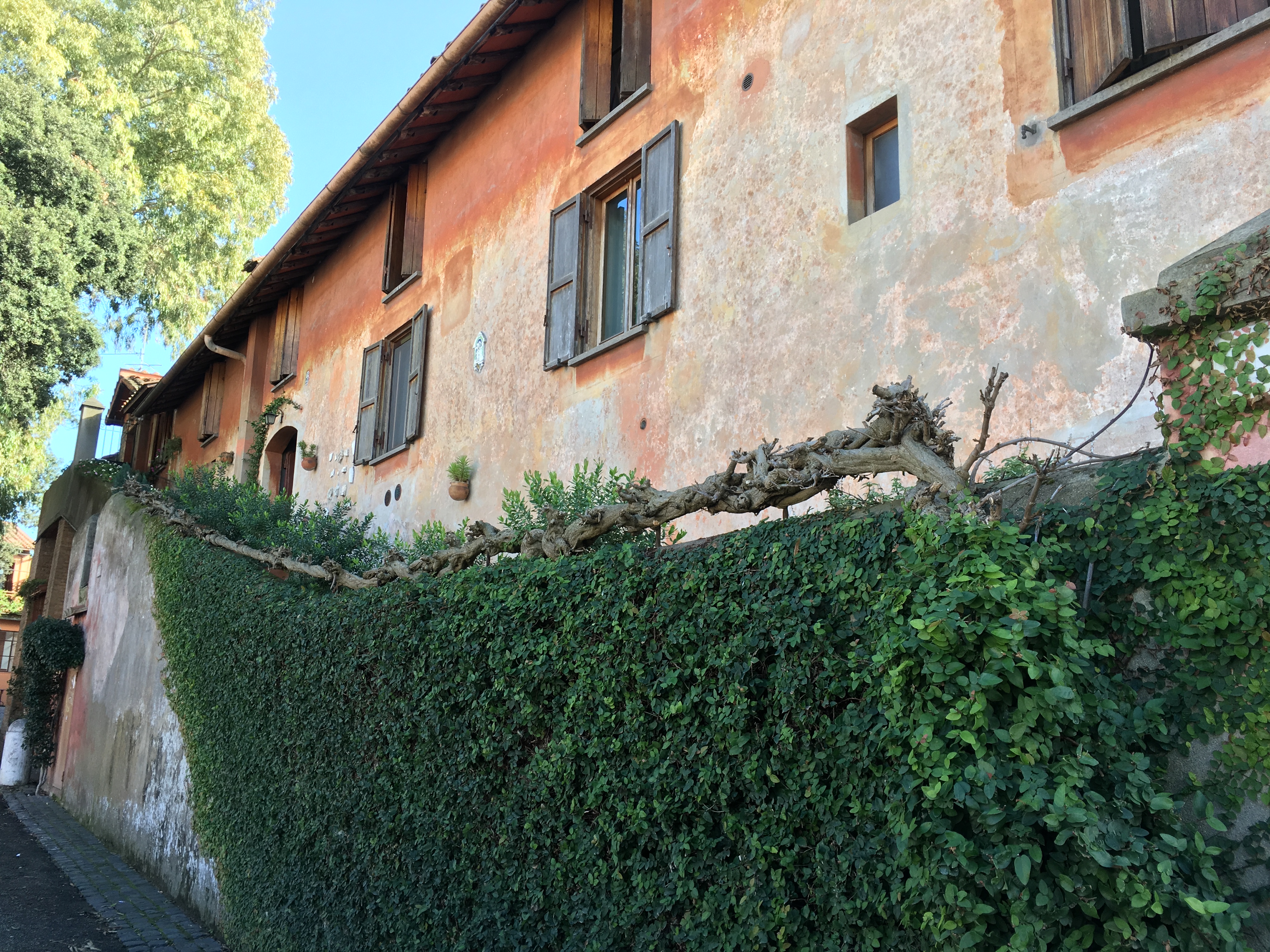 Our bed and breakfast: Wisteria House.