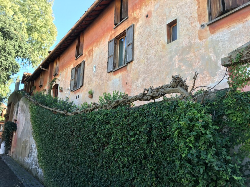 Our bed and breakfast: Wisteria House.